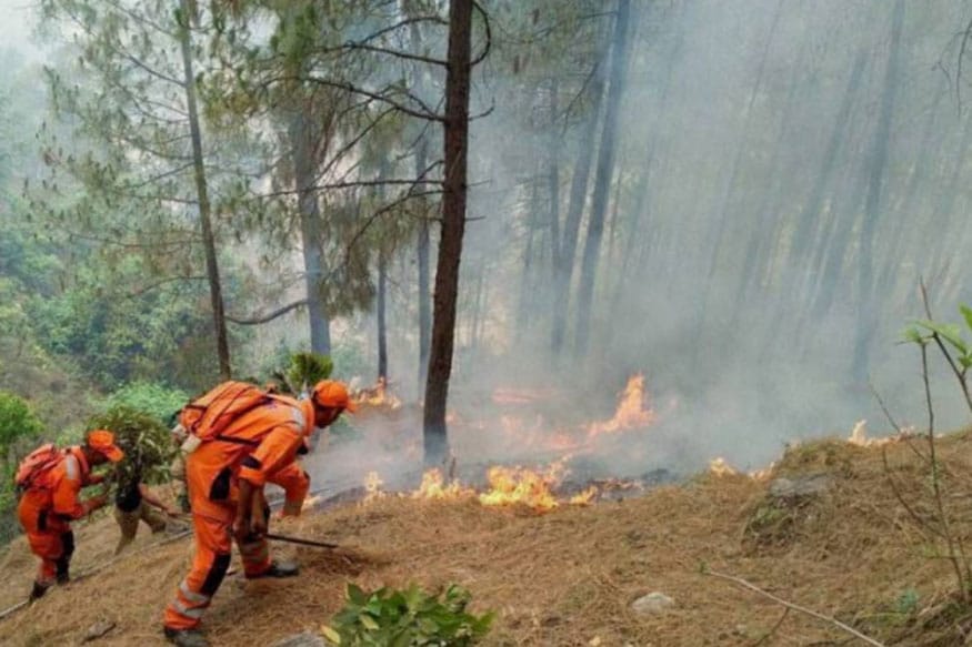 Uttarakhand wildfire