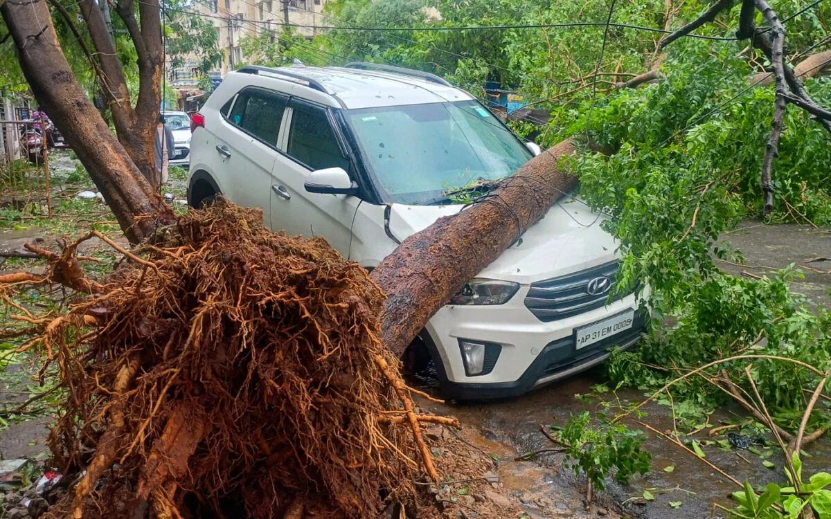 Cyclone Arnab damage in coastal Andhra Pradesh