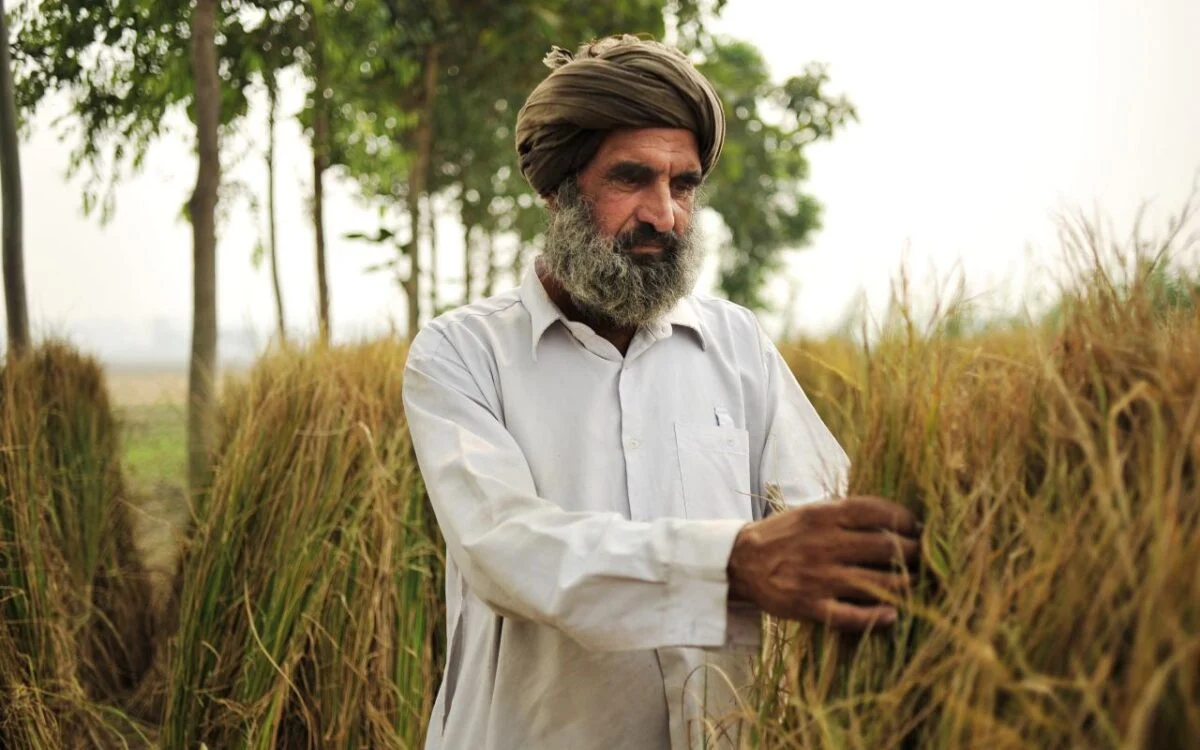 A farmer working in a field in Punjab