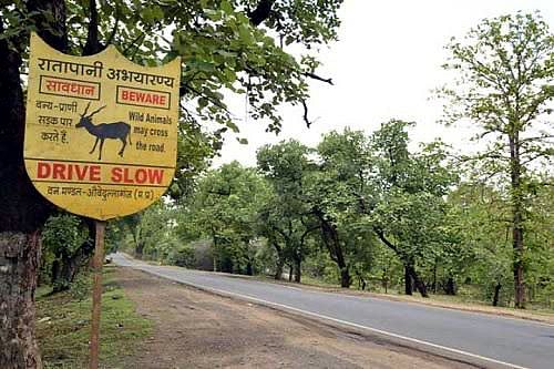 Forest in the Ratapani sanctuary in Raisen district, Madhya Pradesh