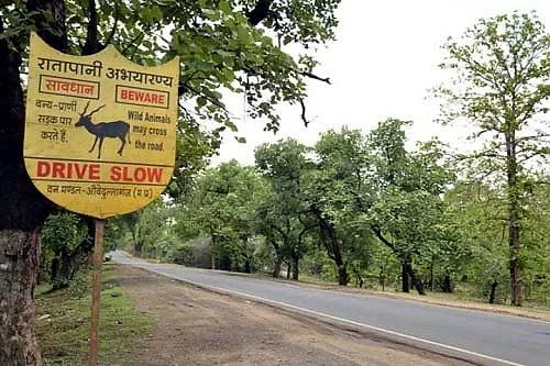 Forest in the Ratapani sanctuary in Raisen district, Madhya Pradesh