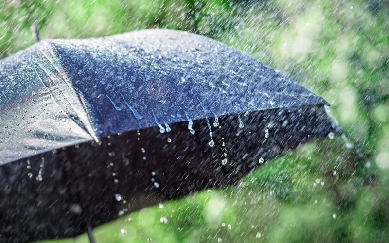Rain over eastern India during the 30 October weather alert
