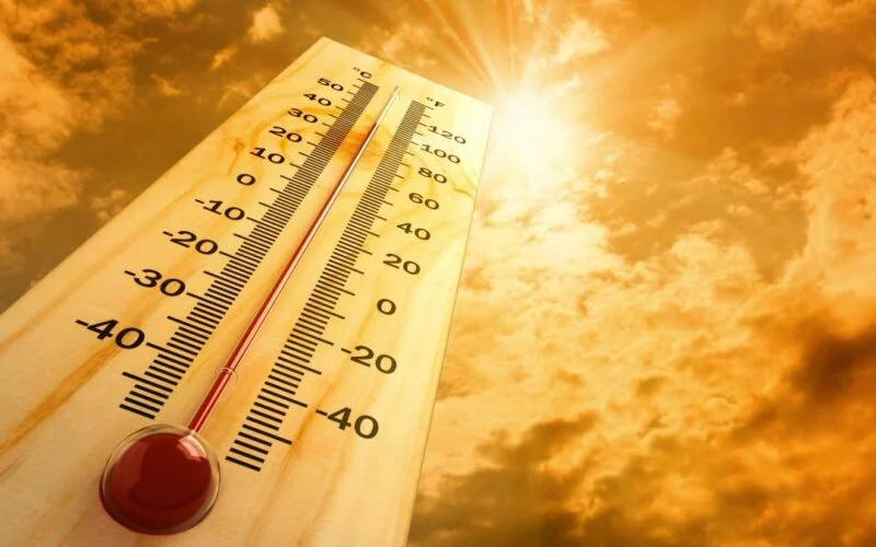 Sun beating down on a hot day in Gujarat