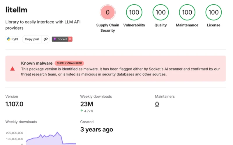 Graphic on the compromised LiteLLM 1.107.0 package on PyPI and Docker Hub