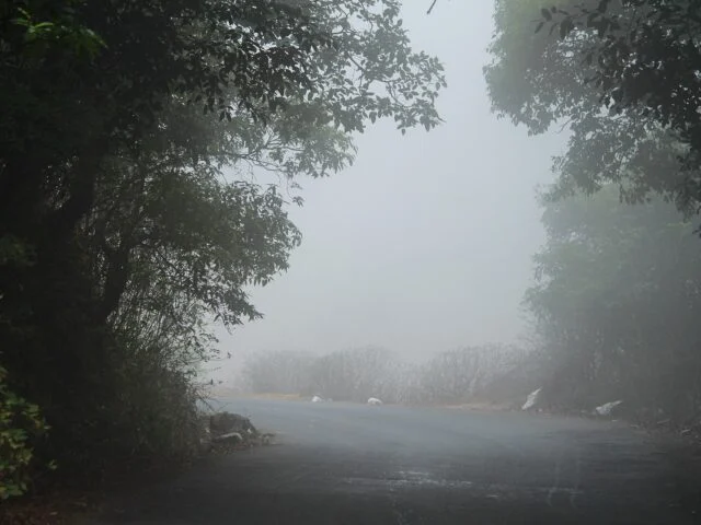 Vidarbha, Marathwada Rain Alert: Showers Expected Oct 27-30