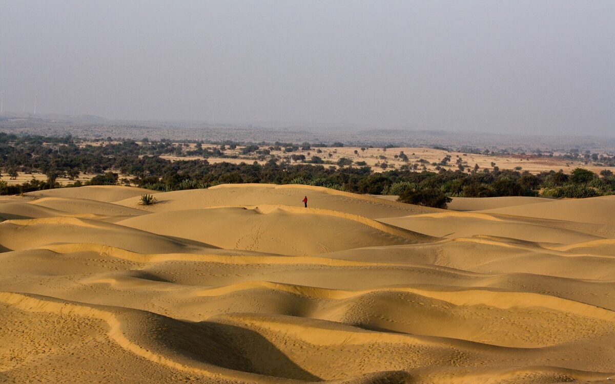 Sand dunes of the Thar desert in Rajasthan under a clear sky