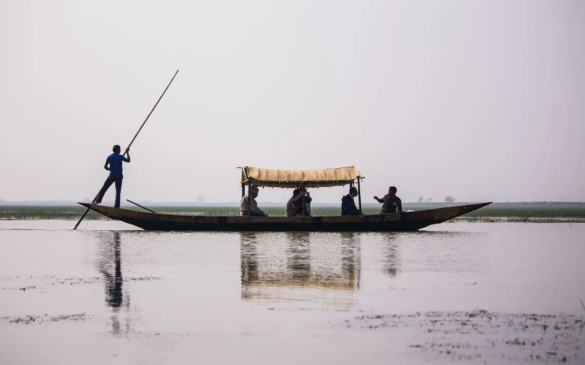 Reeds and open water at the Mangalajodi wetlands on Chilika Lake, Odisha
